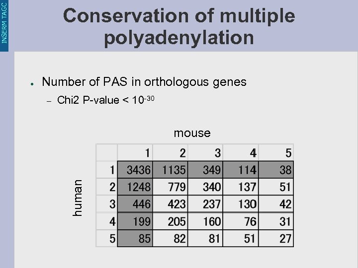 INSERM TAGC Conservation of multiple polyadenylation Number of PAS in orthologous genes – Chi