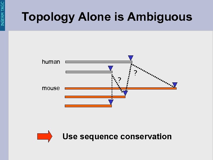INSERM TAGC Topology Alone is Ambiguous human ? ? mouse Use sequence conservation 