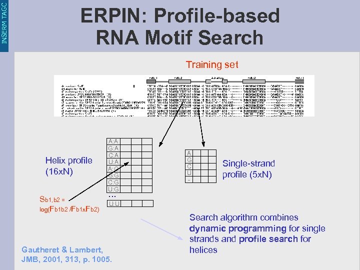 INSERM TAGC ERPIN: Profile-based RNA Motif Search Training set Helix profile (16 x. N)