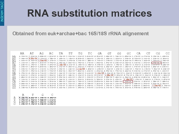 INSERM TAGC RNA substitution matrices Obtained from euk+archae+bac 16 S/18 S r. RNA alignement