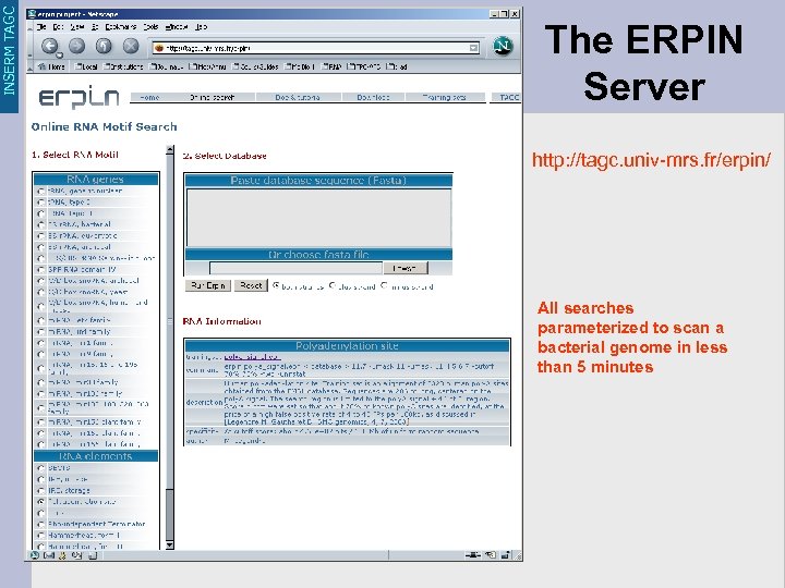 INSERM TAGC The ERPIN Server http: //tagc. univ-mrs. fr/erpin/ All searches parameterized to scan