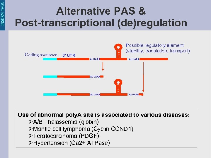 INSERM TAGC Alternative PAS & Post-transcriptional (de)regulation Coding sequence Possible regulatory element (stability, translation,