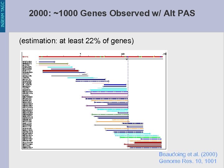 INSERM TAGC 2000: ~1000 Genes Observed w/ Alt PAS (estimation: at least 22% of