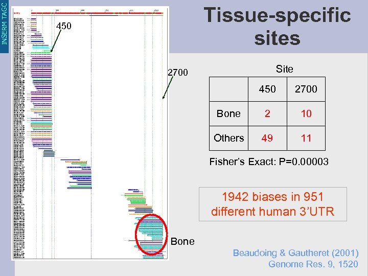 INSERM TAGC Tissue-specific sites 450 Site 2700 450 2700 Bone 2 10 Others 49