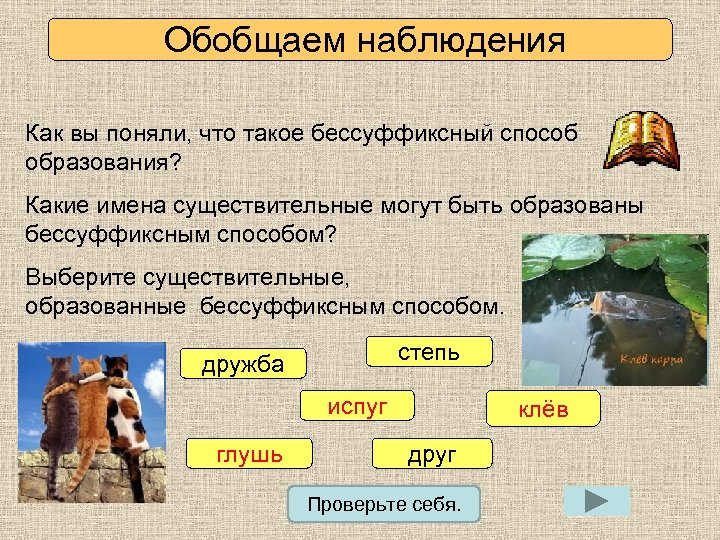 Обобщаем наблюдения Как вы поняли, что такое бессуффиксный способ образования? Какие имена существительные могут