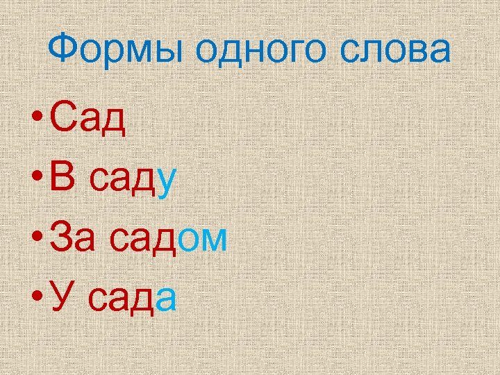 Найди в тексте формы слова