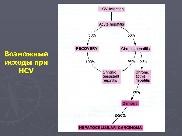 Возможные исходы при HCV 