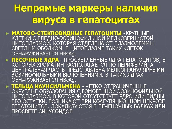 Непрямые маркеры наличия вируса в гепатоцитах МАТОВО-СТЕКЛОВИДНЫЕ ГЕПАТОЦИТЫ -КРУПНЫЕ КЛЕТКИ С БЛЕДНО-ЭОЗИНОФИЛЬНОЙ МЕЛКОЗЕРНИСТОЙ ЦИТОПЛАЗМОЙ,