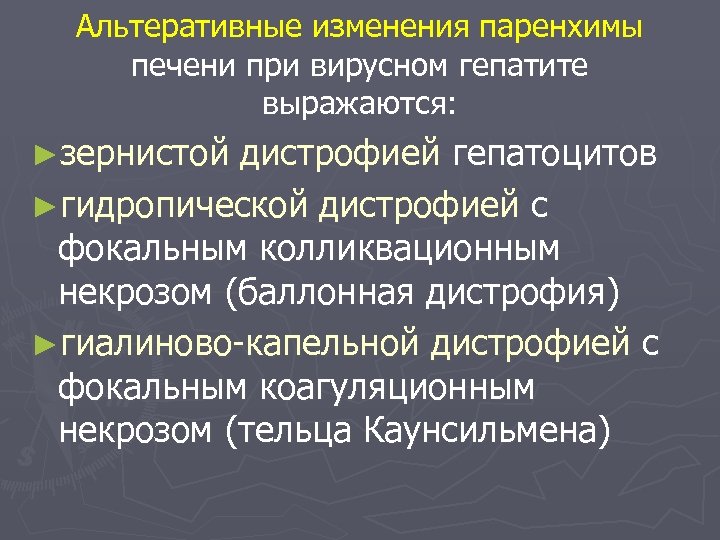 Альтеративные изменения паренхимы печени при вирусном гепатите выражаются: ►зернистой дистрофией гепатоцитов ►гидропической дистрофией с