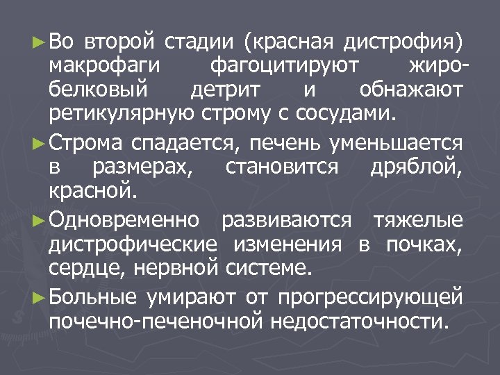 ► Во второй стадии (красная дистрофия) макрофаги фагоцитируют жиробелковый детрит и обнажают ретикулярную строму