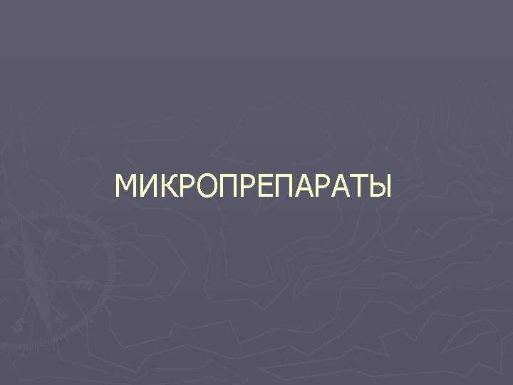 МИКРОПРЕПАРАТЫ 