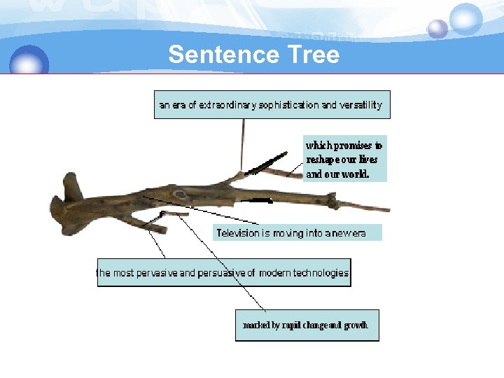 Sentence Tree 