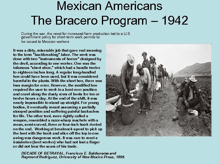 Mexican Americans The Bracero Program – 1942 During the war, the need for increased