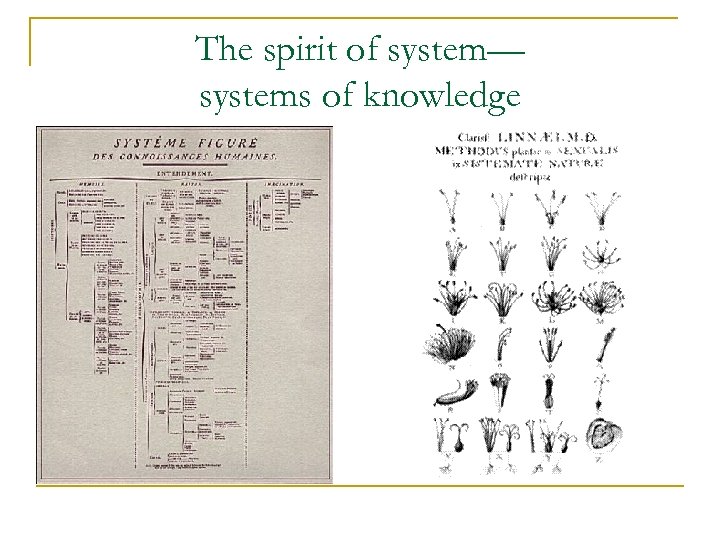 The spirit of system— systems of knowledge 