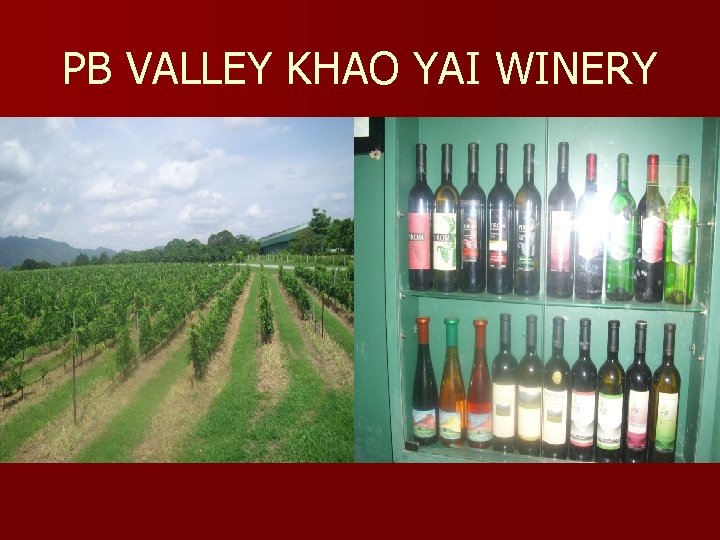 PB VALLEY KHAO YAI WINERY 