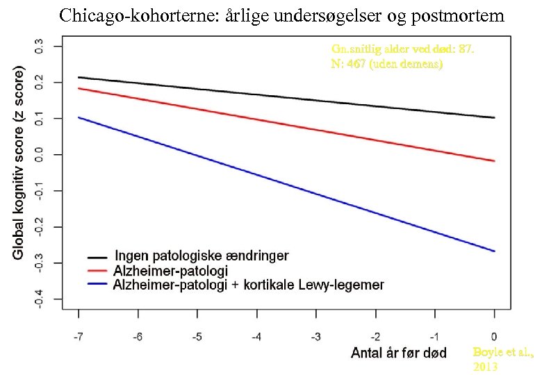Chicago-kohorterne: årlige undersøgelser og postmortem Gn. snitlig alder ved død: 87. N: 467 (uden