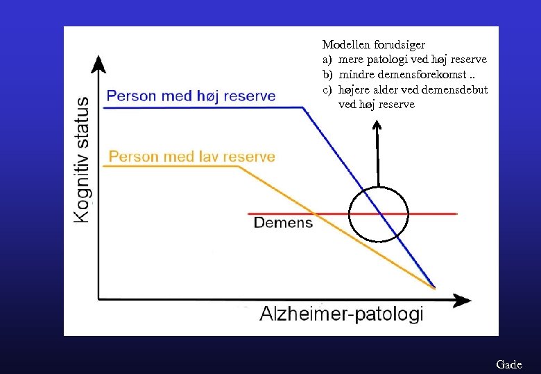 Modellen forudsiger a) mere patologi ved høj reserve b) mindre demensforekomst. . c) højere