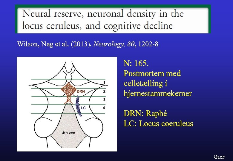 Wilson, Nag et al. (2013). Neurology, 80, 1202 -8 N: 165. Postmortem med celletælling