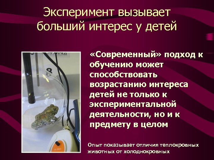 Эксперимент вызывает больший интерес у детей «Современный» подход к обучению может способствовать возрастанию интереса