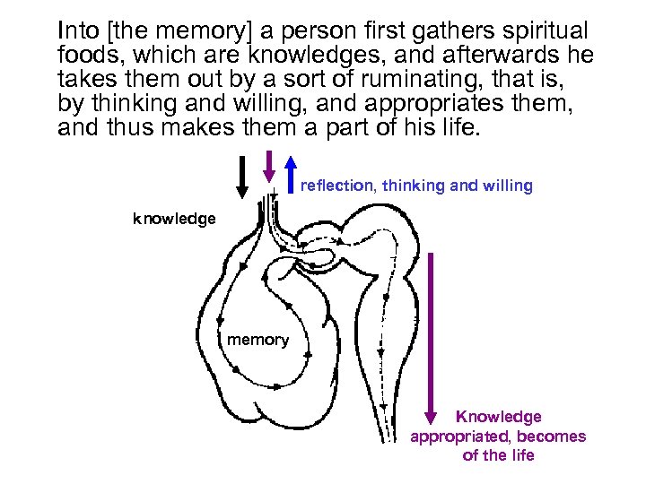 Into [the memory] a person first gathers spiritual foods, which are knowledges, and afterwards