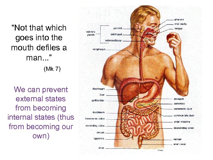 “Not that which goes into the mouth defiles a man. . . ” (Mk