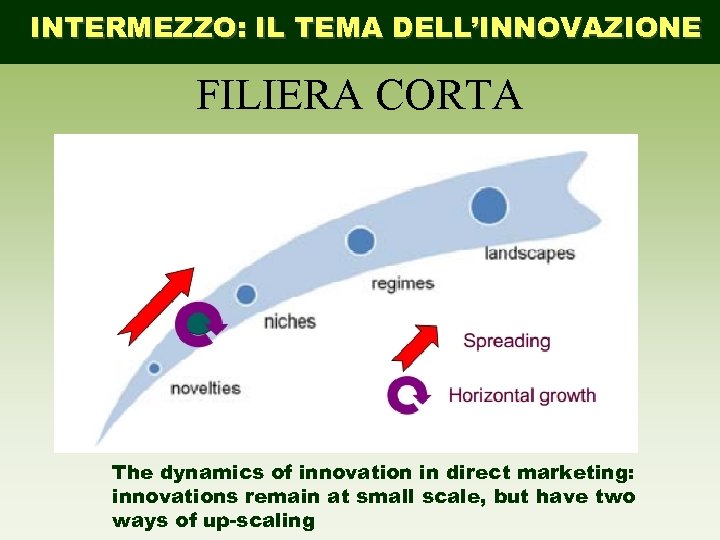 INTERMEZZO: IL TEMA DELL’INNOVAZIONE FILIERA CORTA The dynamics of innovation in direct marketing: innovations