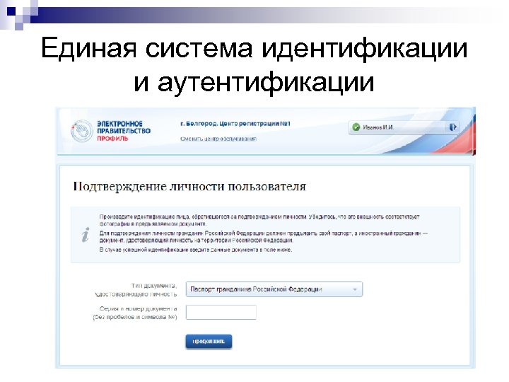 Единая система идентификации