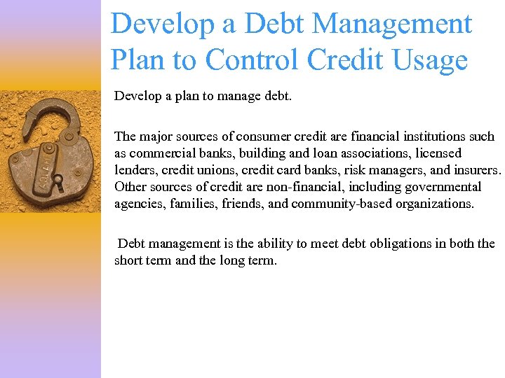 Develop a Debt Management Plan to Control Credit Usage Develop a plan to manage