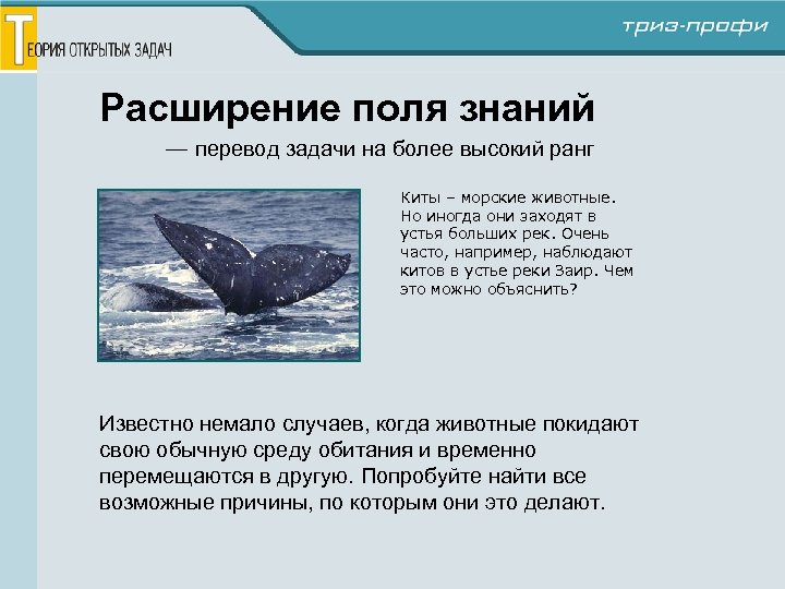 Расширение поля знаний — перевод задачи на более высокий ранг Киты – морские животные.