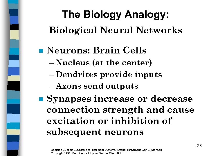 The Biology Analogy: Biological Neural Networks n Neurons: Brain Cells – Nucleus (at the