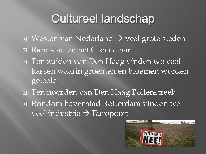 Cultureel landschap Westen van Nederland veel grote steden Randstad en het Groene hart Ten