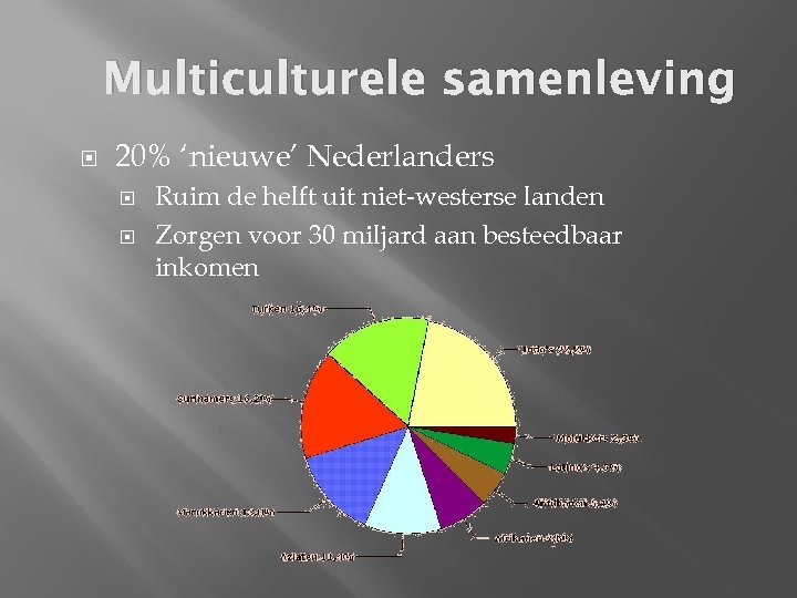 Multiculturele samenleving 20% ‘nieuwe’ Nederlanders Ruim de helft uit niet-westerse landen Zorgen voor 30