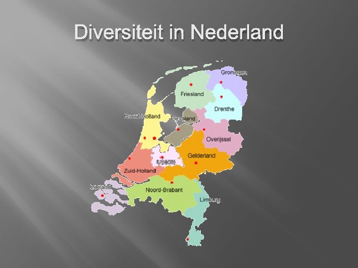 Diversiteit in Nederland 
