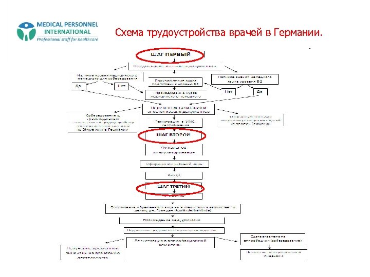 Схема трудоустройства врачей в Германии. 