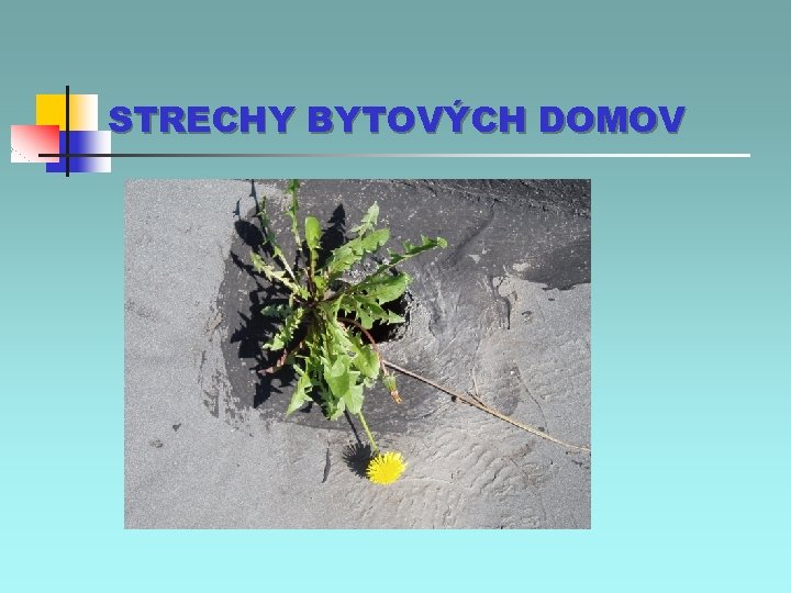 STRECHY BYTOVÝCH DOMOV 