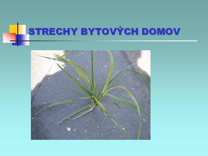 STRECHY BYTOVÝCH DOMOV 