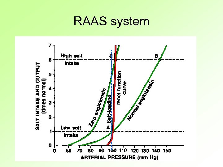 RAAS system 