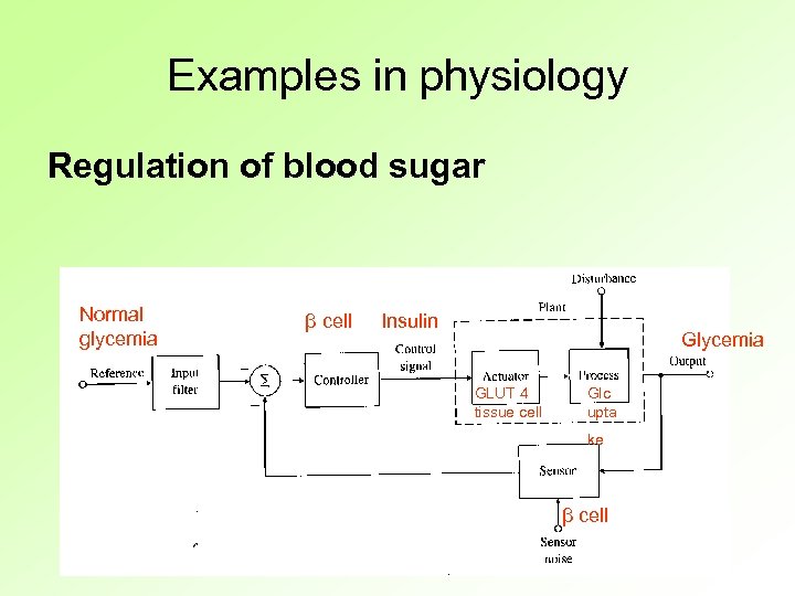 Examples in physiology Regulation of blood sugar Normal glycemia β cell Insulin Glycemia GLUT