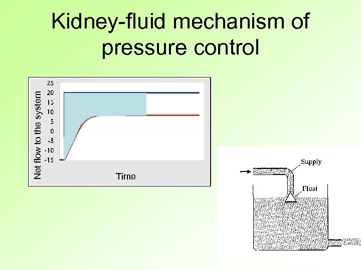 Net flow to the system Kidney-fluid mechanism of pressure control Time 