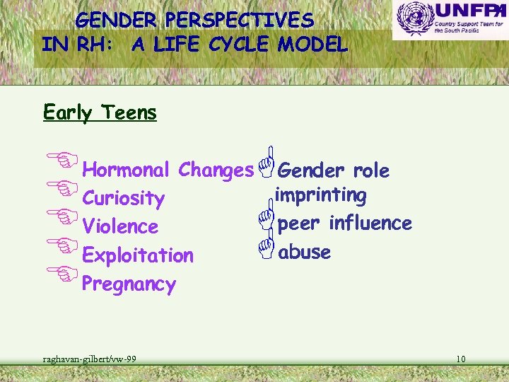 GENDER PERSPECTIVES IN RH: A LIFE CYCLE MODEL Early Teens EHormonal Changes. GGender role