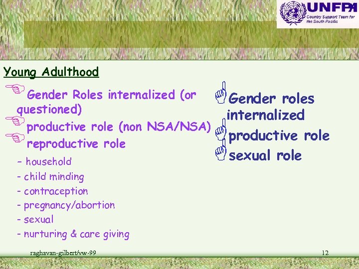 Young Adulthood EGender Roles internalized (or GGender roles questioned) internalized Eproductive role (non NSA/NSA)