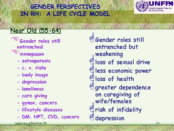 GENDER PERSPECTIVES IN RH: A LIFE CYCLE MODEL Near Old (55 -64) EGender roles