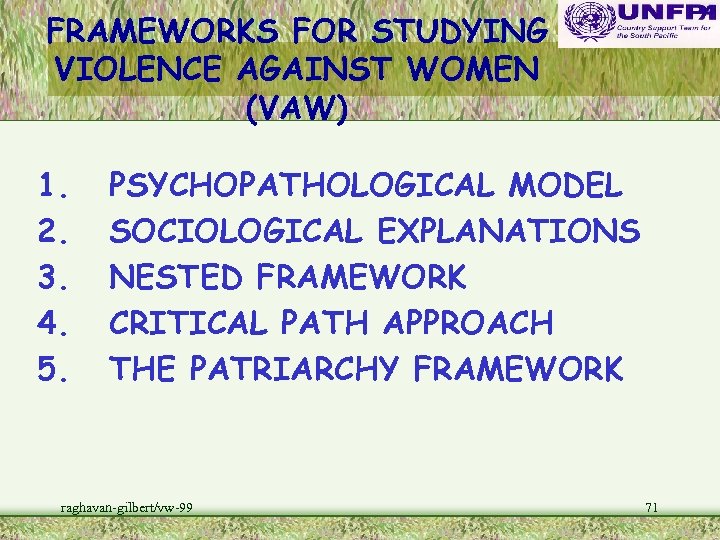 FRAMEWORKS FOR STUDYING VIOLENCE AGAINST WOMEN (VAW) 1. 2. 3. 4. 5. PSYCHOPATHOLOGICAL MODEL