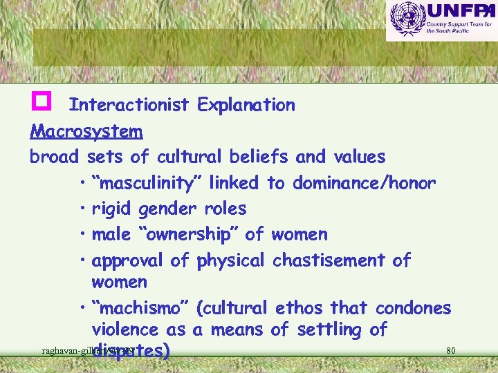 p Interactionist Explanation Macrosystem broad sets of cultural beliefs and values • “masculinity” linked