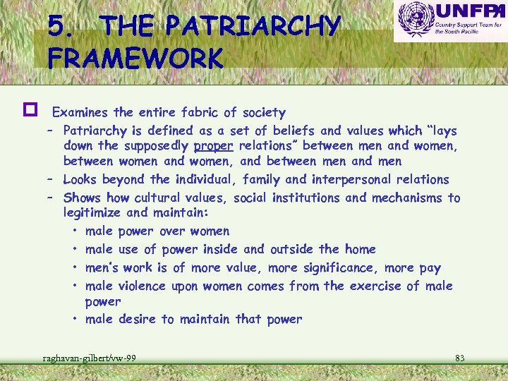 5. THE PATRIARCHY FRAMEWORK p Examines the entire fabric of society – Patriarchy is