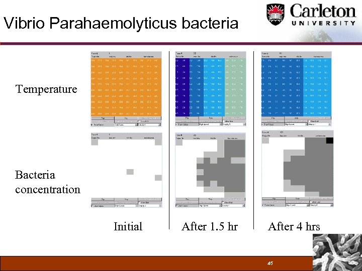 Vibrio Parahaemolyticus bacteria Temperature Bacteria concentration Initial After 1. 5 hr After 4 hrs