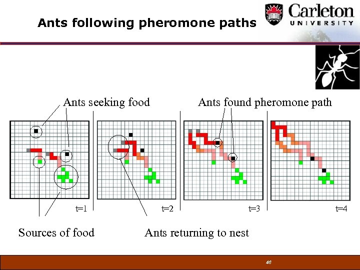 Ants following pheromone paths Ants seeking food t=1 Sources of food Ants found pheromone