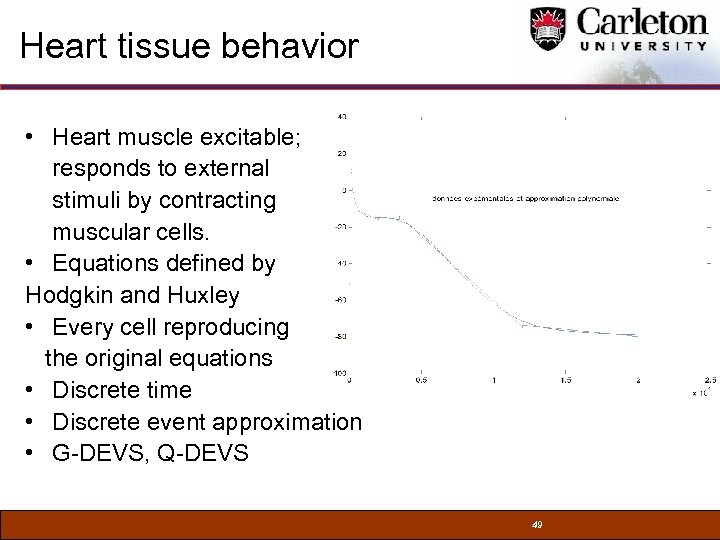 Heart tissue behavior • Heart muscle excitable; responds to external stimuli by contracting muscular