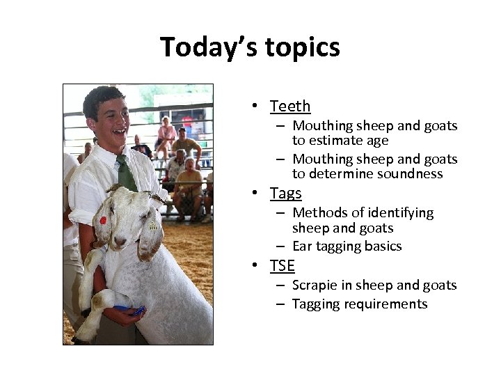 Today’s topics • Teeth – Mouthing sheep and goats to estimate age – Mouthing