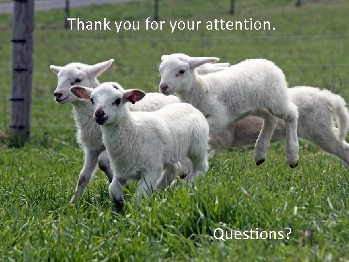 Thank you for your attention. Questions? 